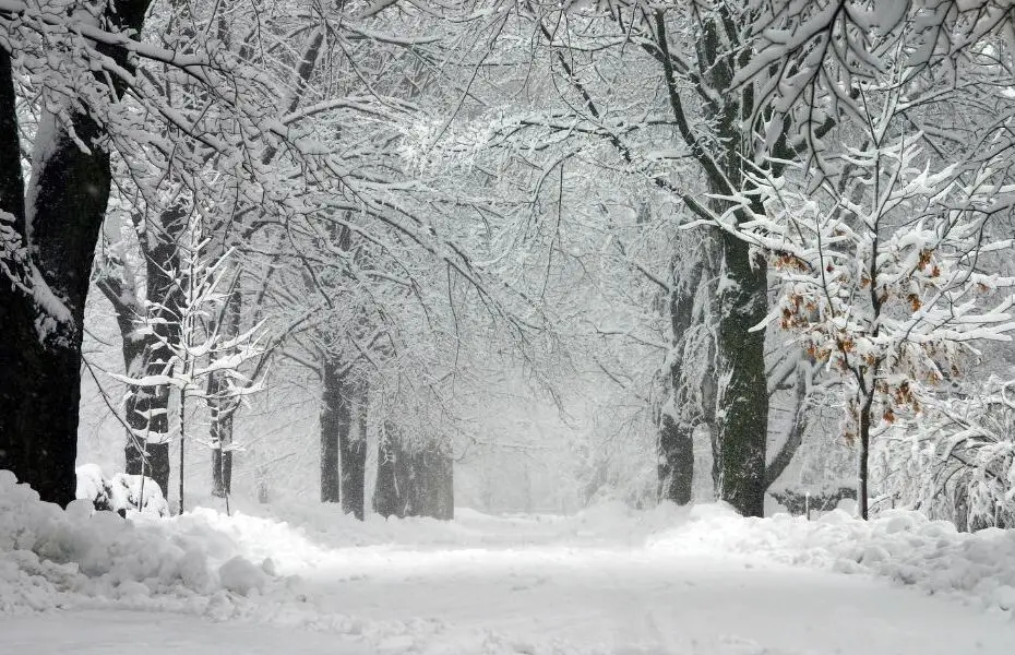 Tips for Preparing Your Home for a Winter Storm