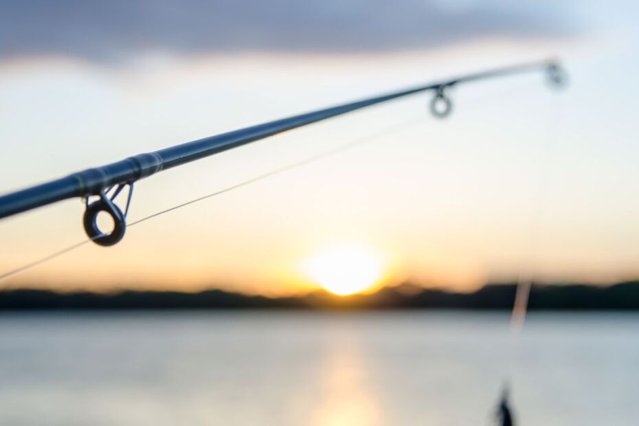 Five Tips To Turn Your Fishing Trip Successful