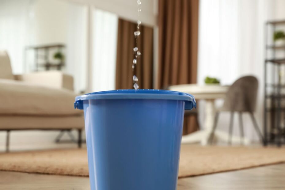 What Should You Do When the Roof Is Leaking?