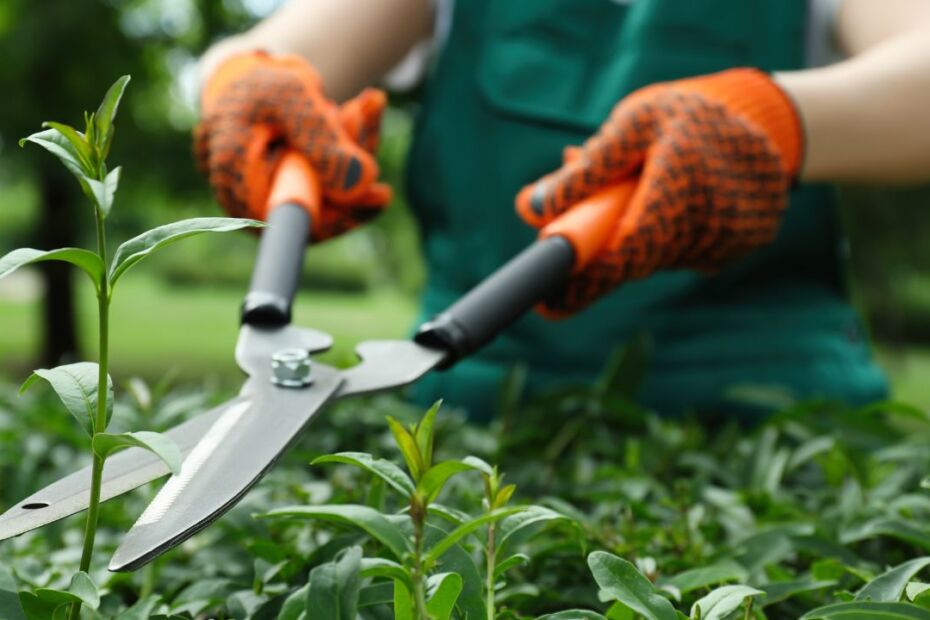 5 Tips To Choose High-Quality Gardening Equipment