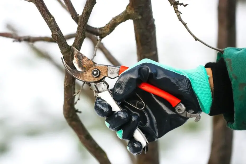 Tips To Keep Your Garden Equipment Safe in Winter
