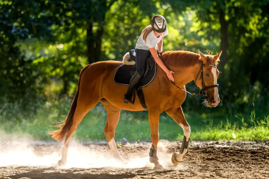 Helpful Safety Tips for Horseback Riding