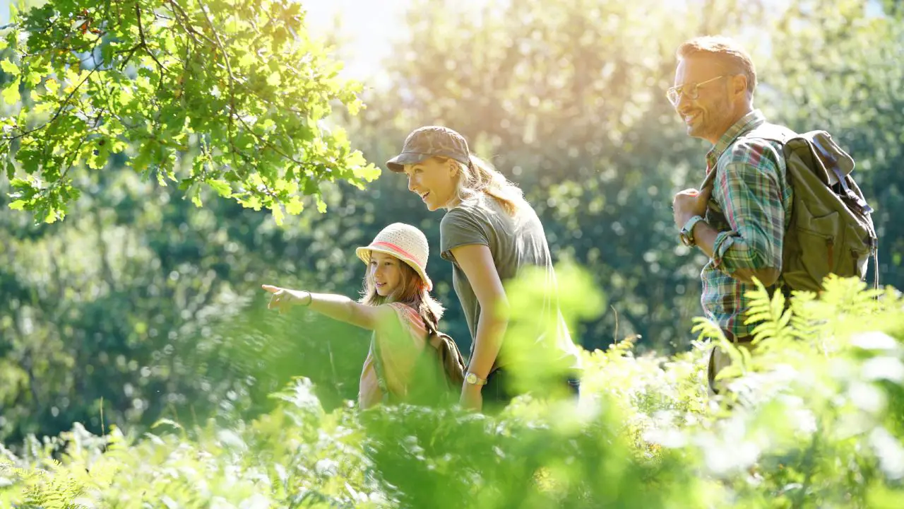 A husband and wife stroll with their daughter through nature. The daughter gazes at something beyond the frame.