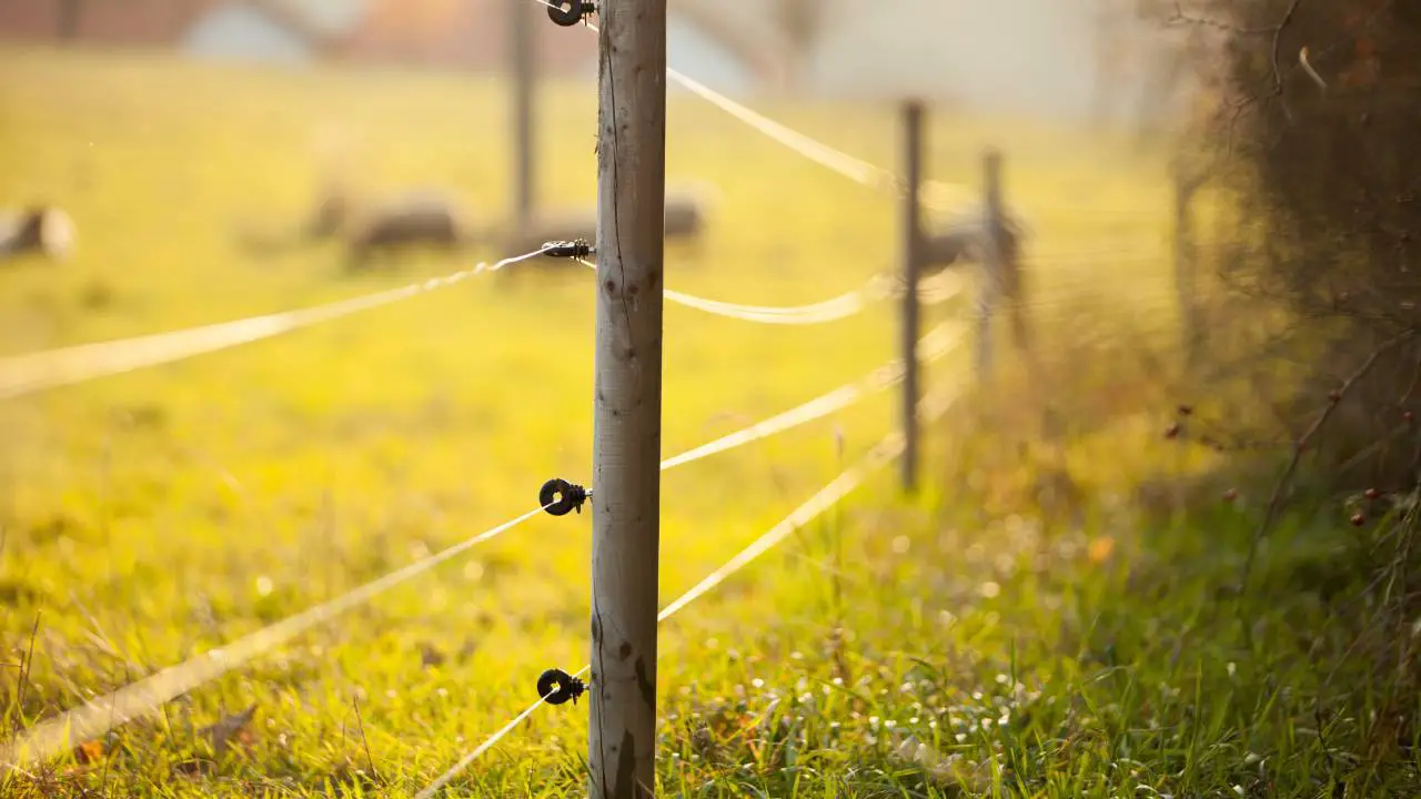 Electrical fence wiring held up by wooden posts that surrounds a vibrant, green pasture with farm animals in the background.