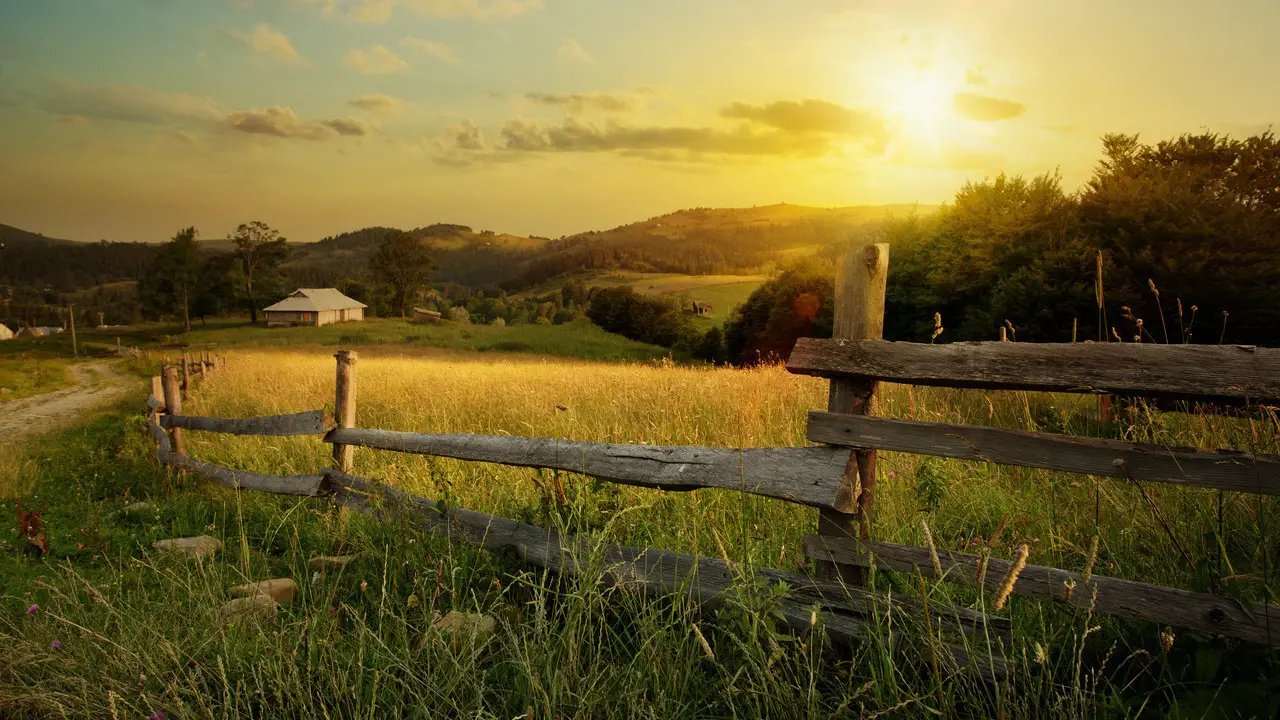 A piece of farmland with the sun setting behind the tree line. There's an old wooden fence line and overgrown pasture.