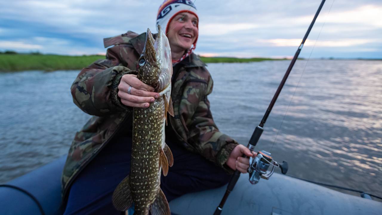 A man wearing a winter hat and coat holds a musky fish he caught while sitting in a blue boat. He also has a fishing pole.