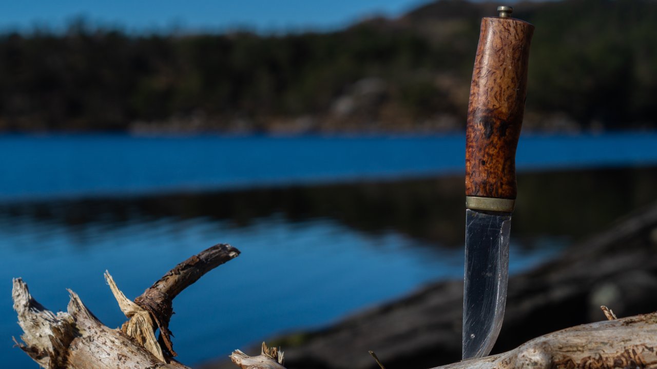 A sharp outdoor knife stands firmly embedded in a dead tree branch, its blade piercing through the wood.