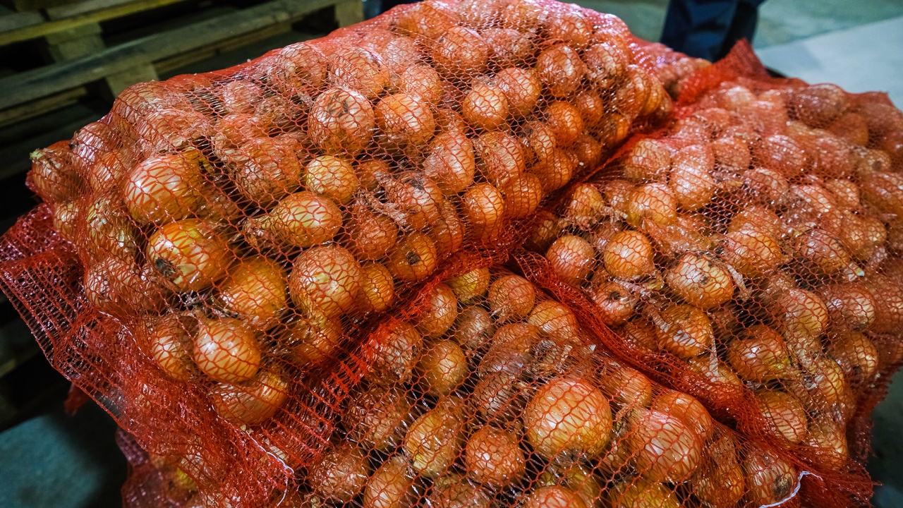 Large red mesh bags filled with freshly harvested onions are stacked together on top of wooden pallets.
