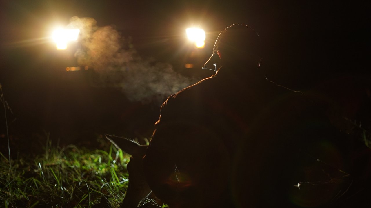 A night hunter kneeled down on the ground with spotlights in front of him. He's holding an animal in front of him.