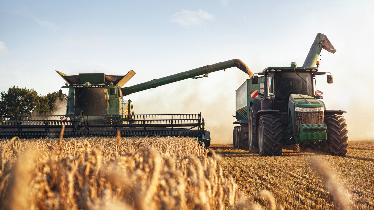 A farming field filled with wheat grain. In the distance is a combined harvester tractor with a conveyor system.
