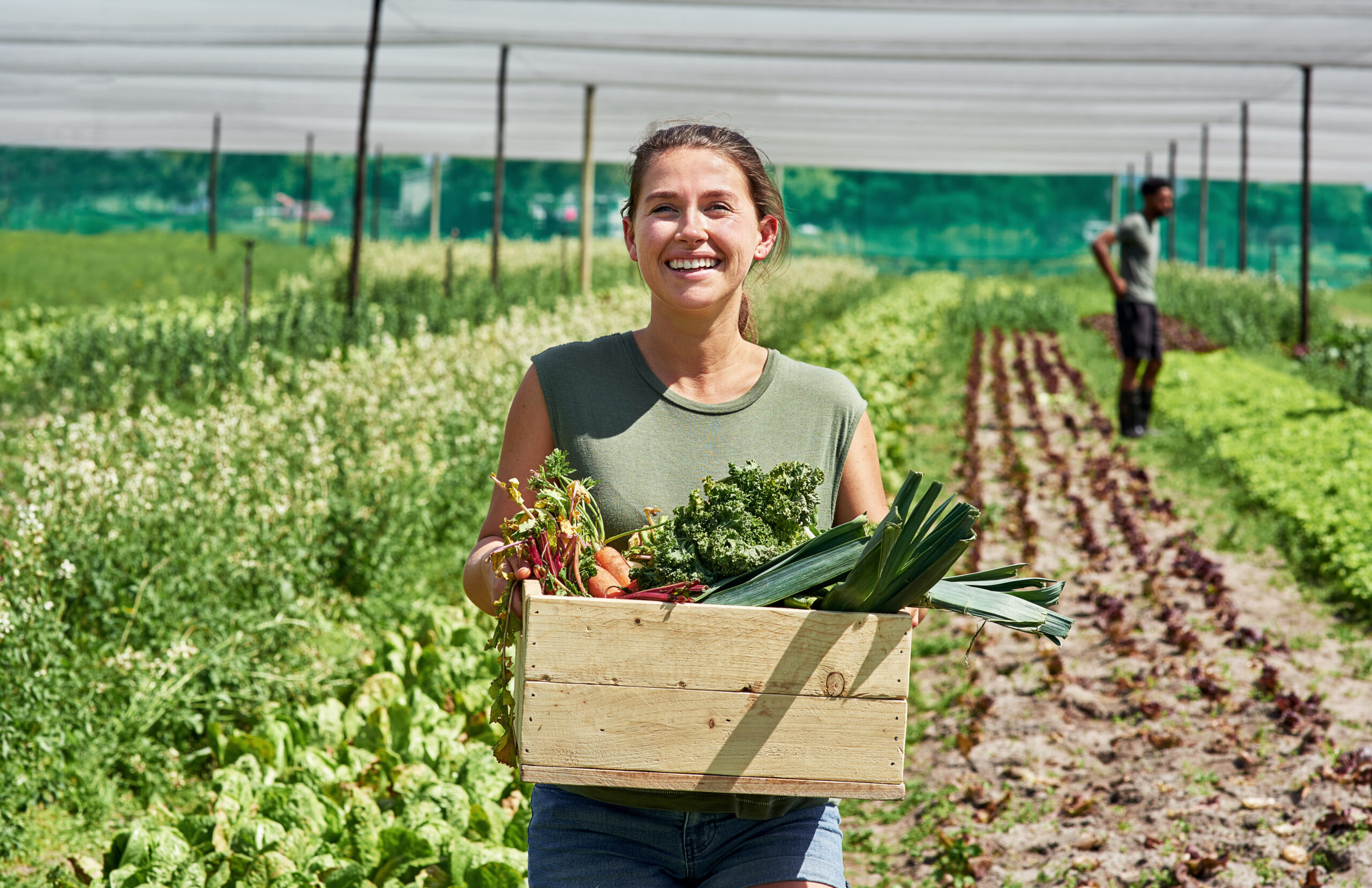 A woman carrying a crate full of produce like carrots and kale smiles. Behind her are rows of crops and a man.