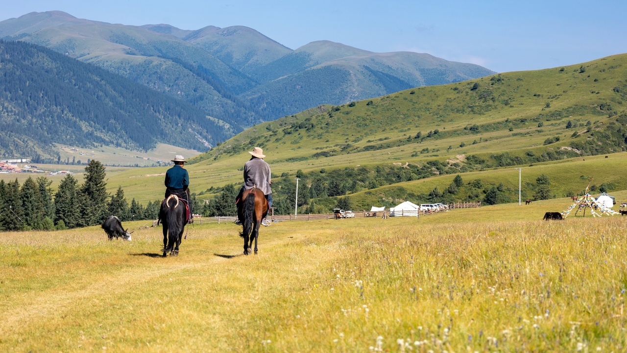 Common Riding Mistakes That Strain a Horse’s Back