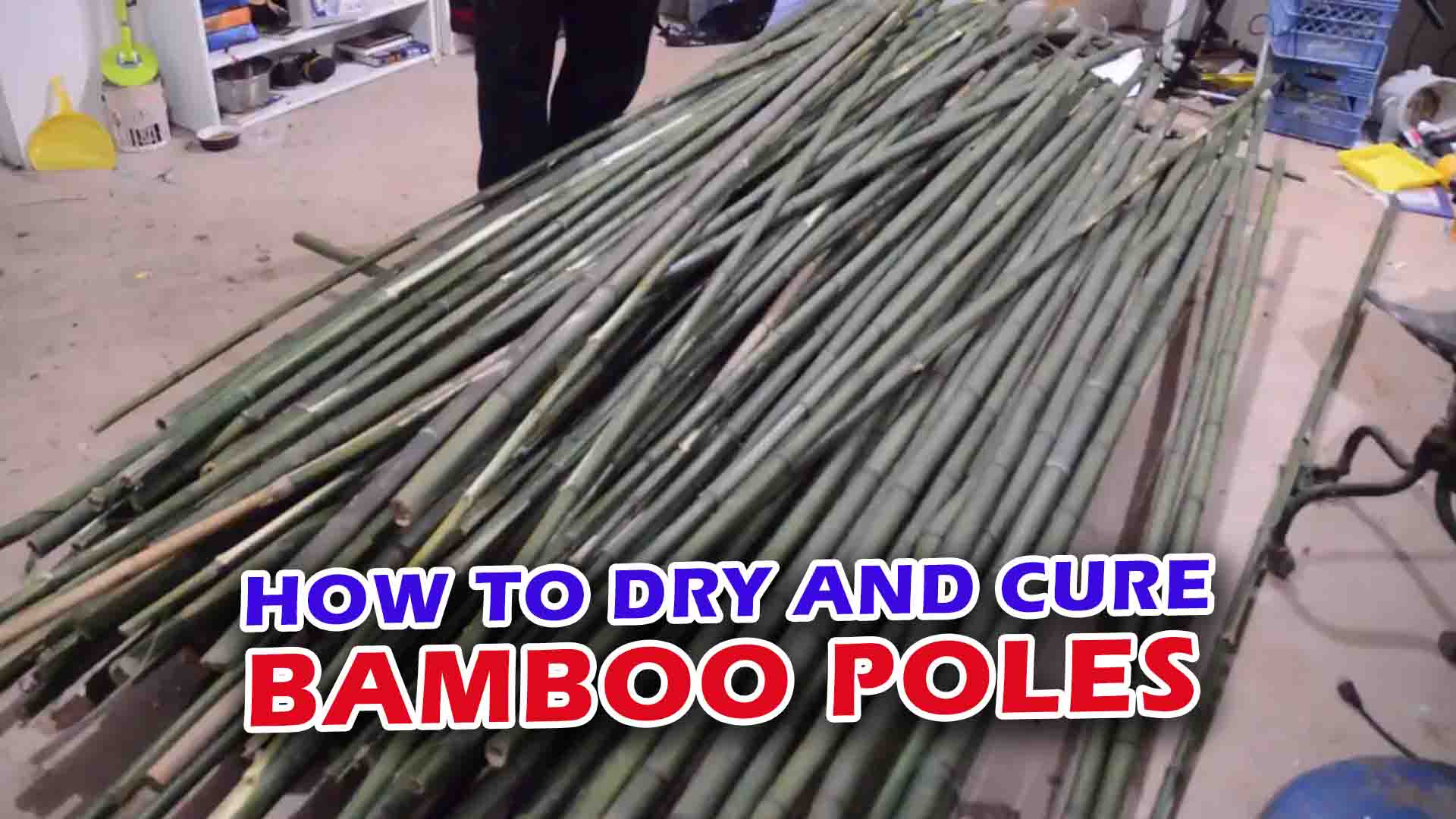 How to Dry and Cure Bamboo Poles
