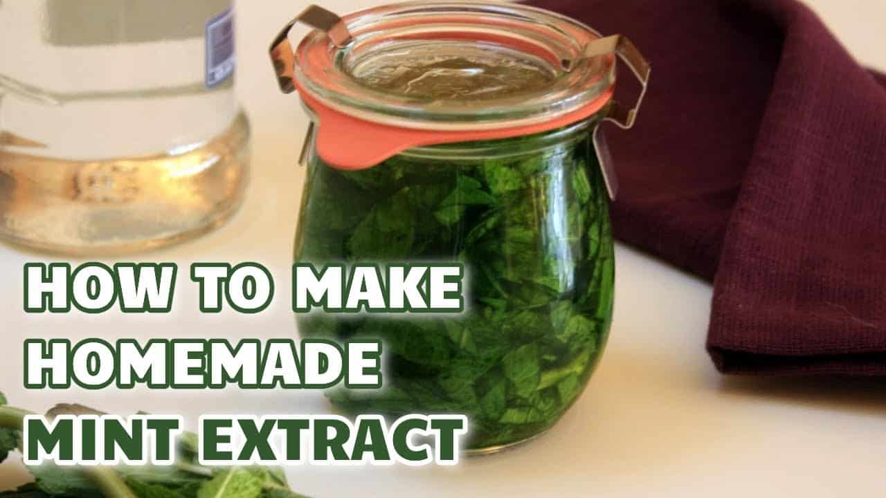 How to Make Homemade Mint Extract