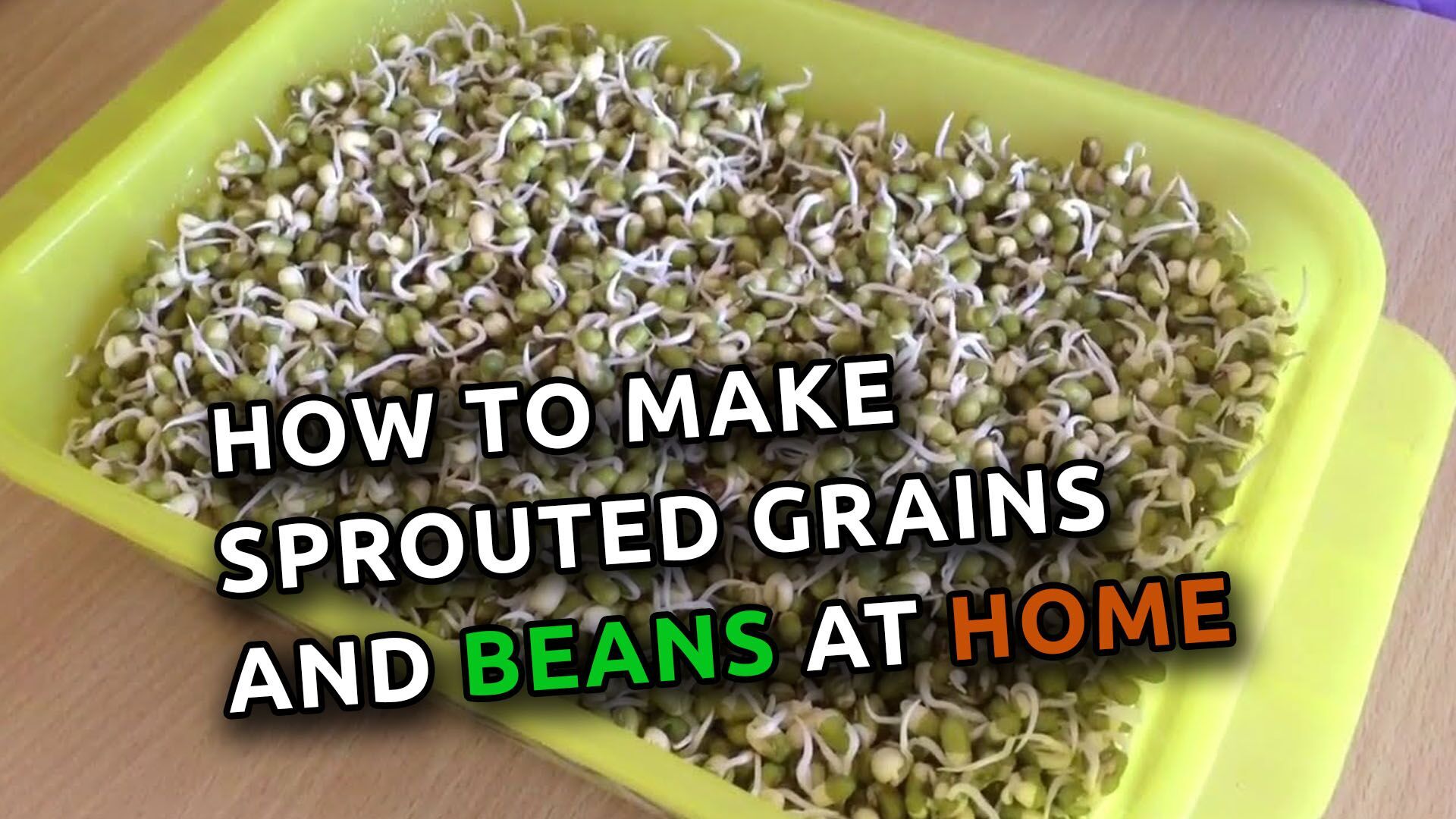 How to Make Sprouted Grains and Beans at Home