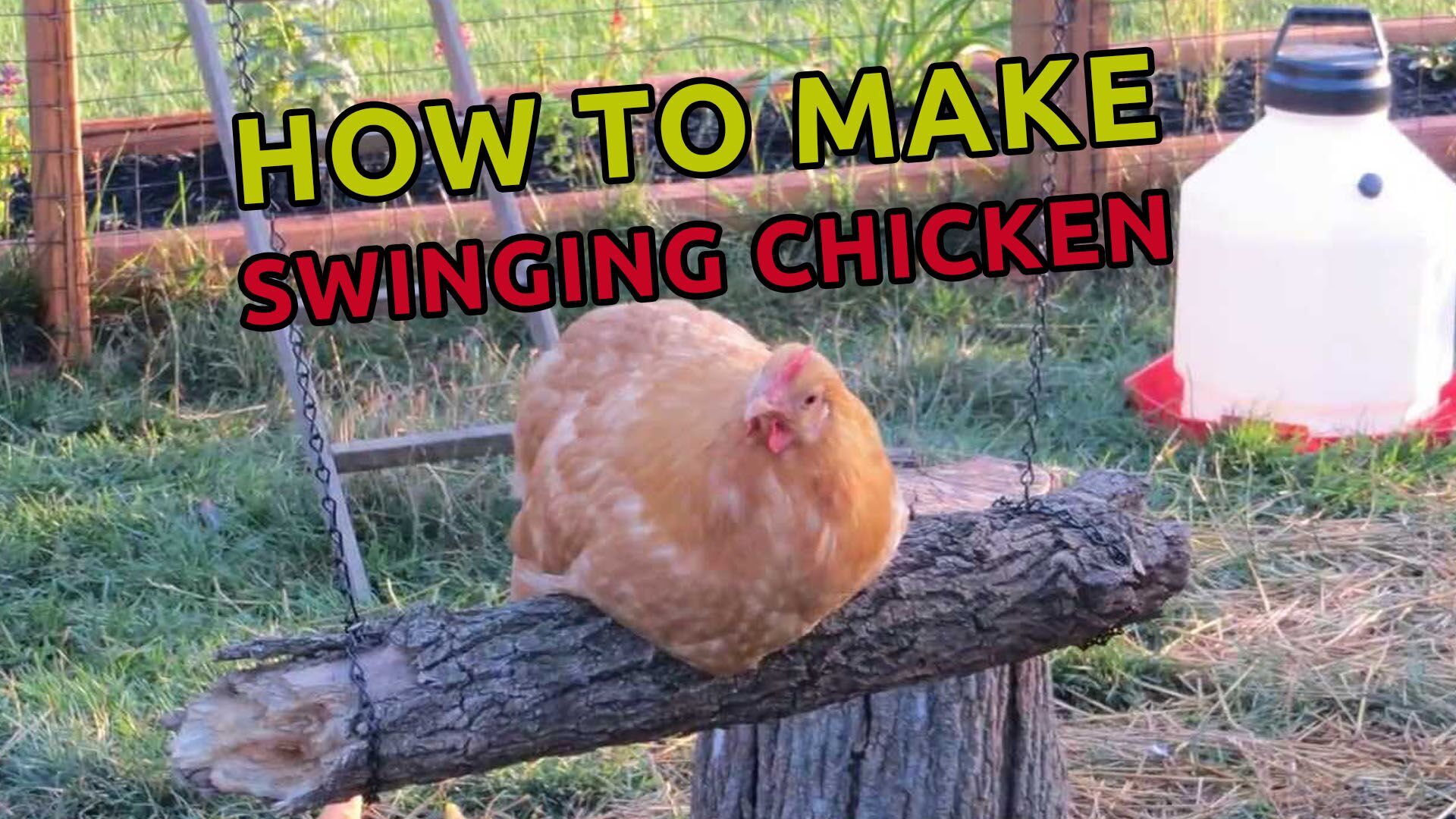 How to Make Swinging Chicken