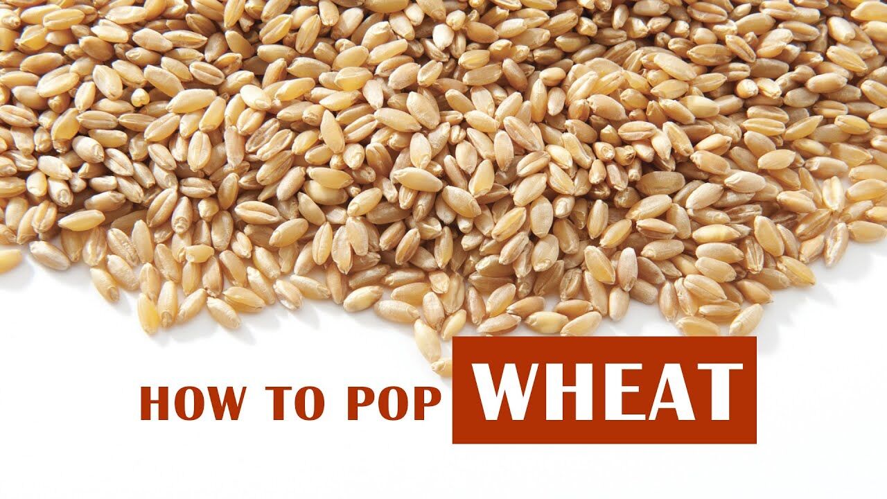 How to Pop Wheat