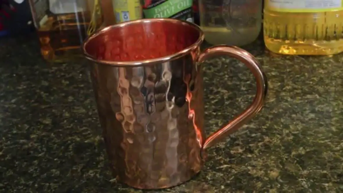 Gear Review: Moscow Mule Mug