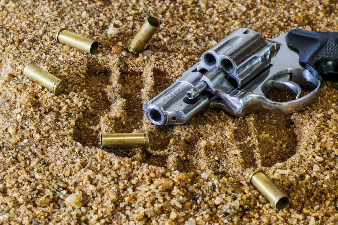 Shooting Aftermath Article on Guns dot com