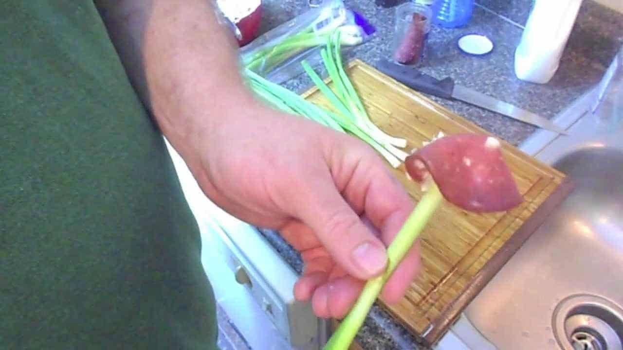 Green Onion Wraps Recipe